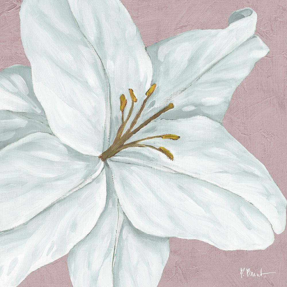 Floral Bloom VI - Pink art print by Paul Brent for $57.95 CAD