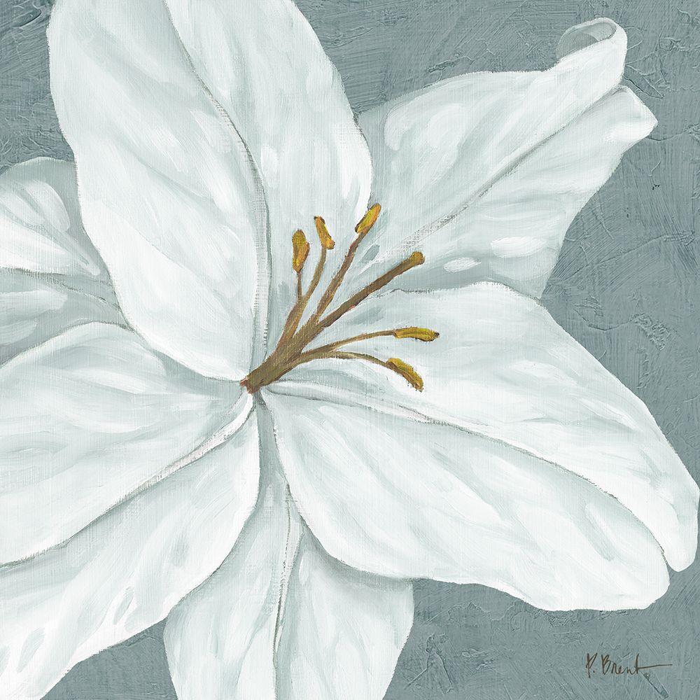 Floral Bloom VI art print by Paul Brent for $57.95 CAD