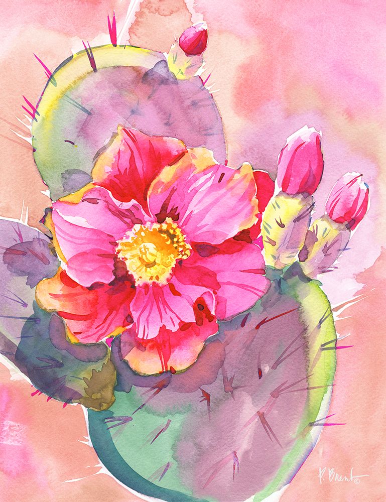 Cactus Bloom I art print by Paul Brent for $57.95 CAD