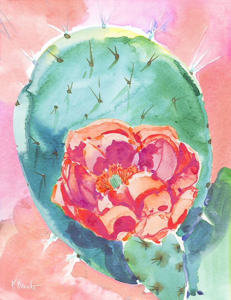 Cactus Bloom II art print by Paul Brent for $57.95 CAD