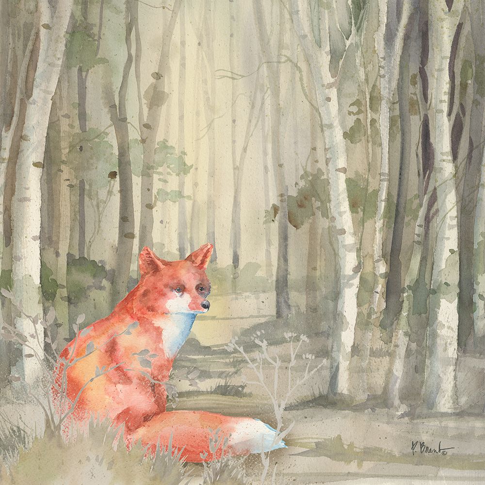 Birch Forest I art print by Paul Brent for $57.95 CAD