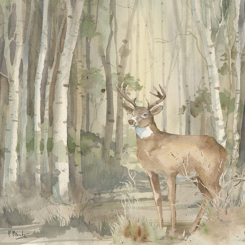 Birch Forest II art print by Paul Brent for $57.95 CAD