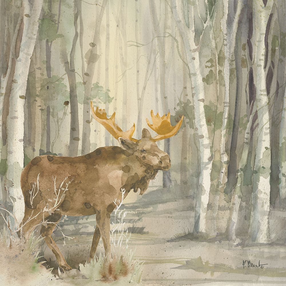 Birch Forest III art print by Paul Brent for $57.95 CAD