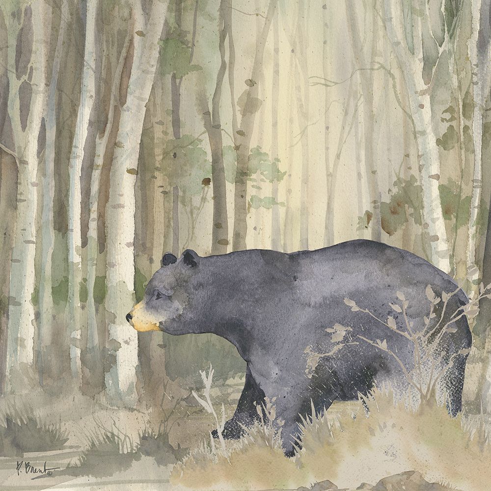 Birch Forest IV art print by Paul Brent for $57.95 CAD