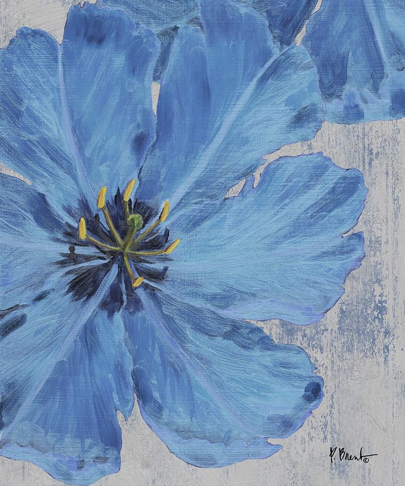Floral Bloom VIII art print by Paul Brent for $57.95 CAD