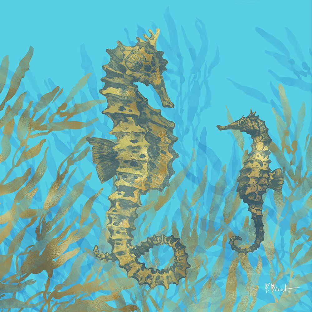 Cedar Key Sealife I art print by Paul Brent for $57.95 CAD