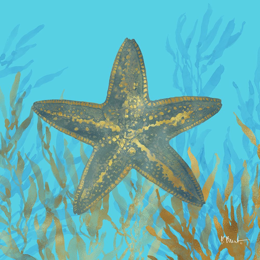 Cedar Key Sealife II art print by Paul Brent for $57.95 CAD