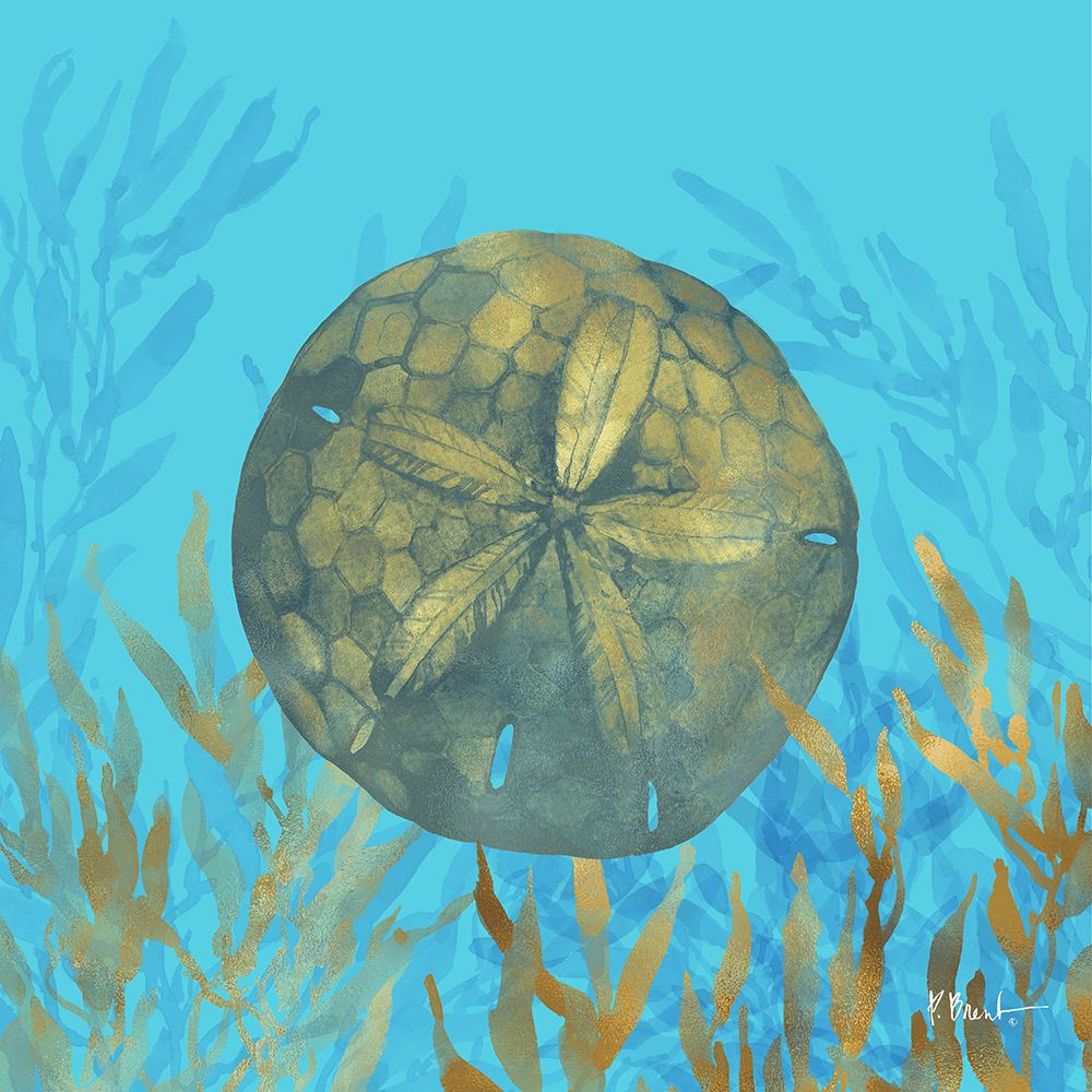 Cedar Key Sealife III art print by Paul Brent for $57.95 CAD
