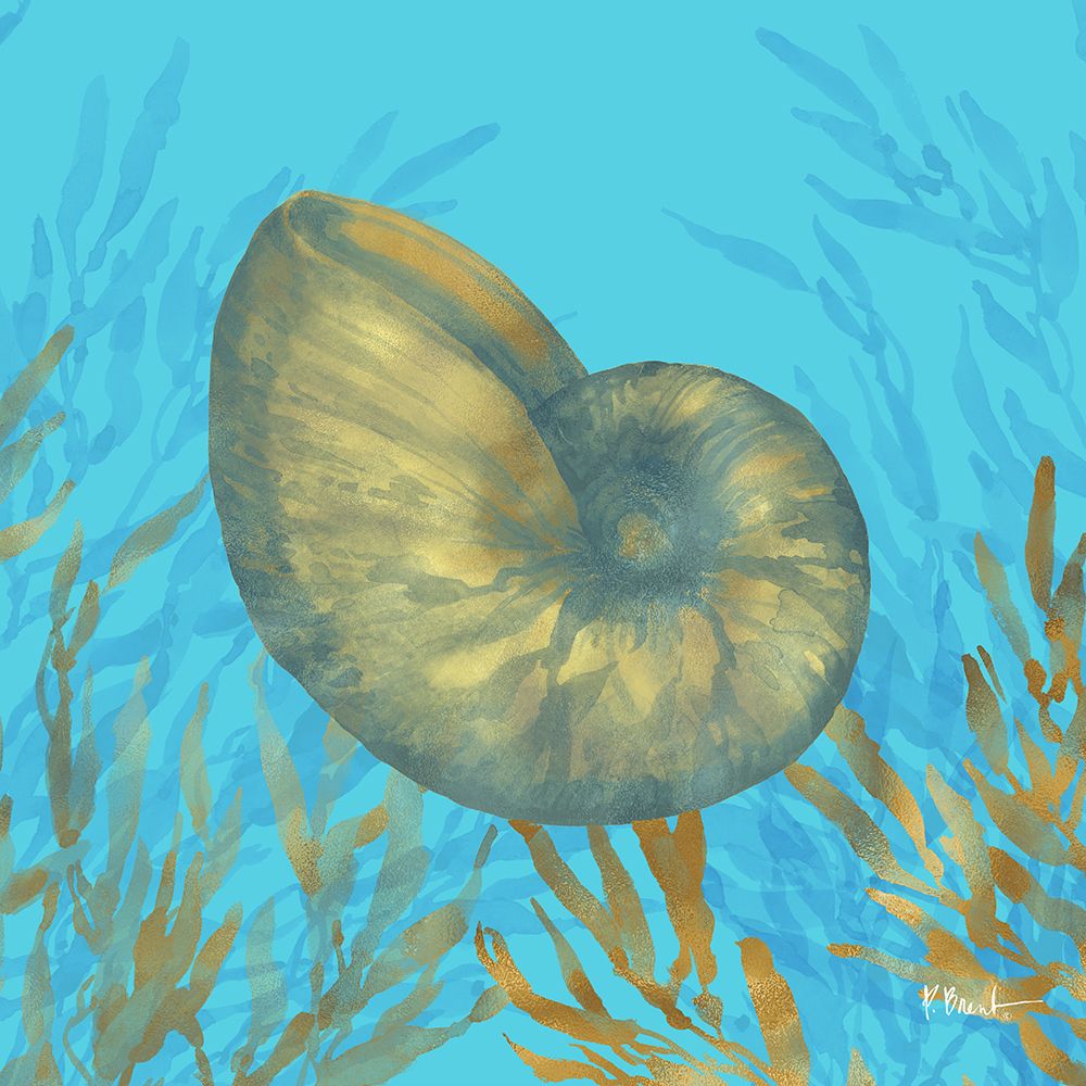 Cedar Key Sealife IV art print by Paul Brent for $57.95 CAD