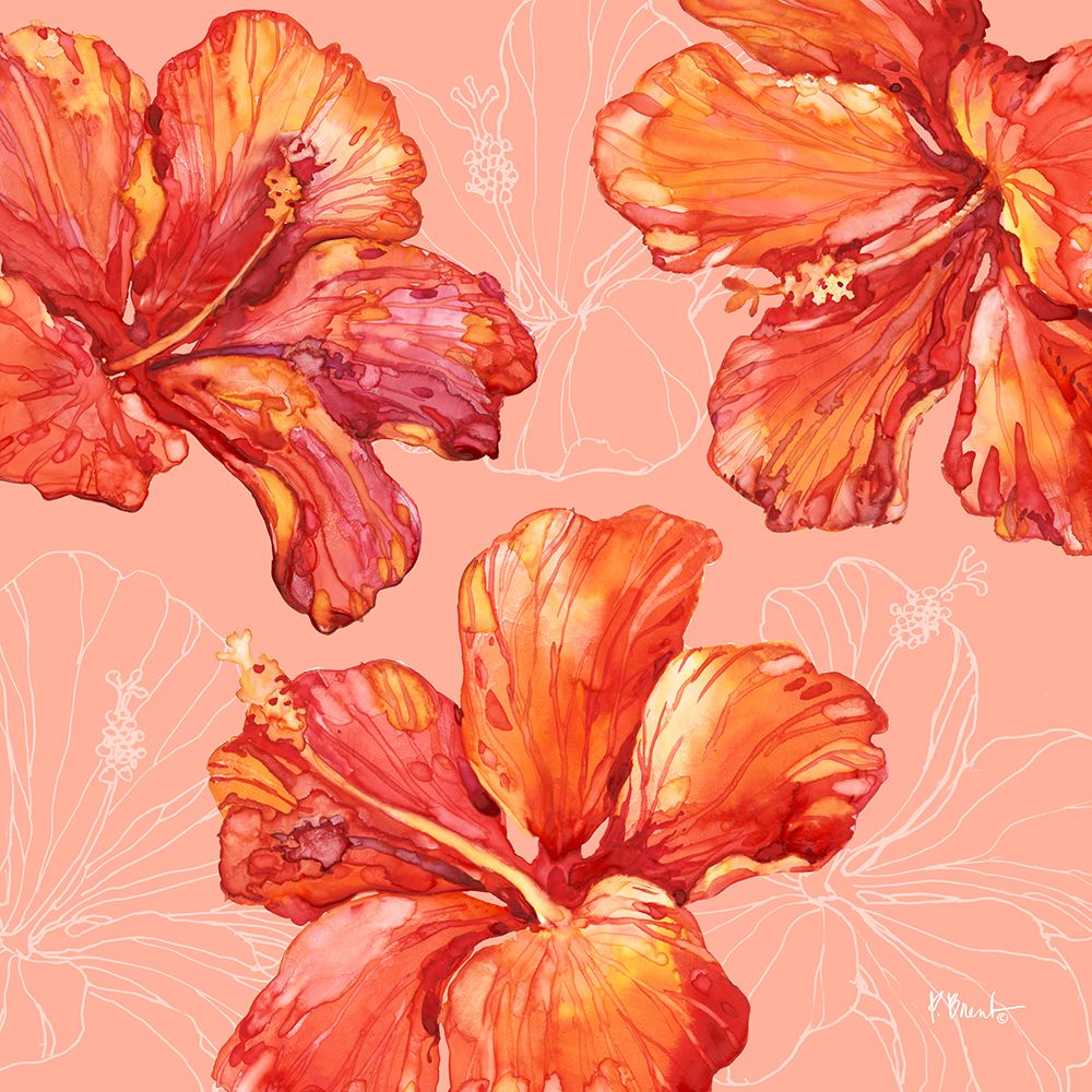 Hilo Hibiscus - Coral art print by Paul Brent for $57.95 CAD
