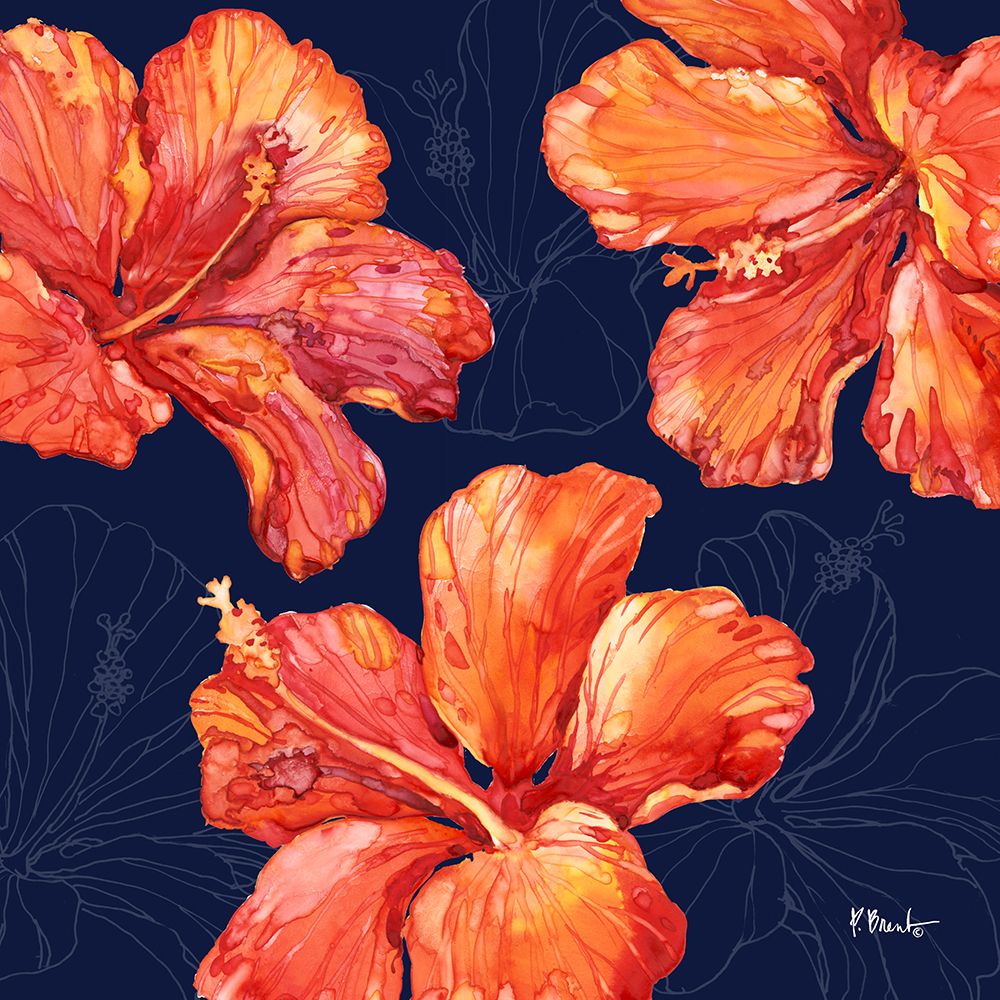 Hilo Hibiscus art print by Paul Brent for $57.95 CAD