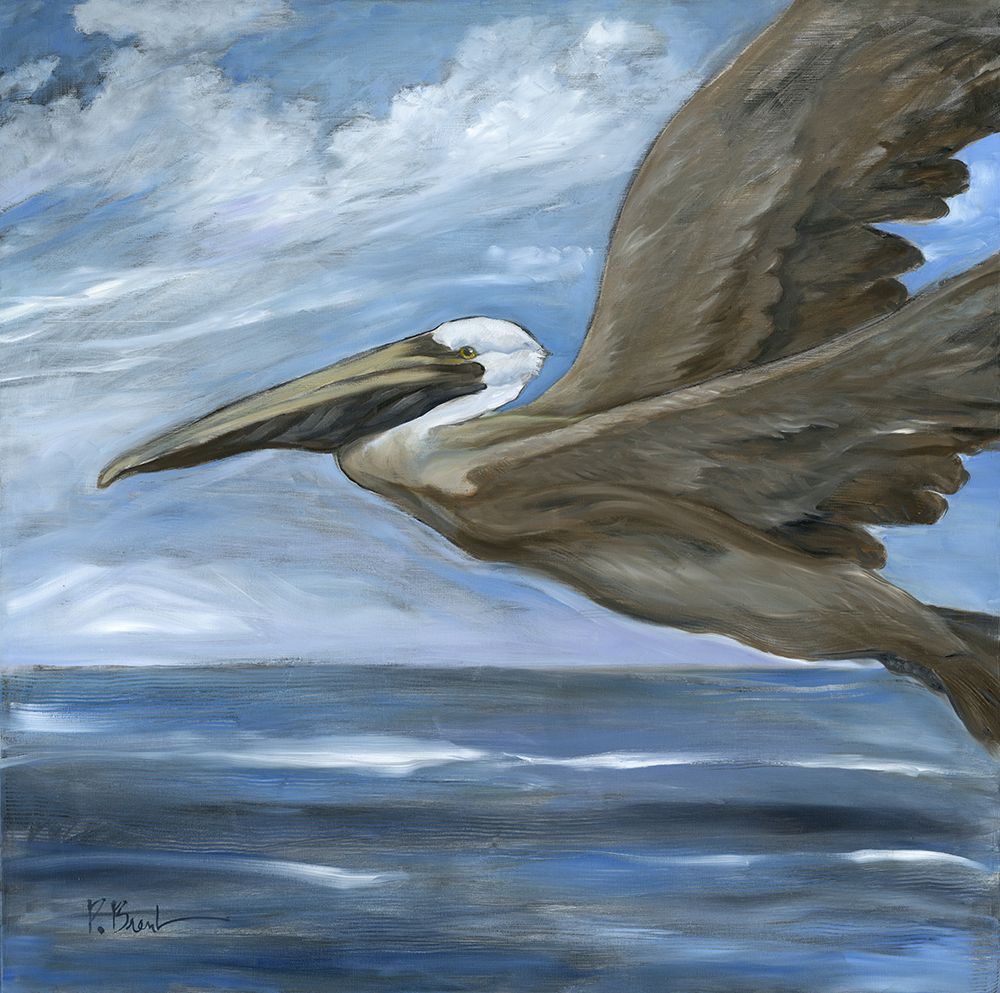 Updraft Brown Pelican art print by Paul Brent for $57.95 CAD