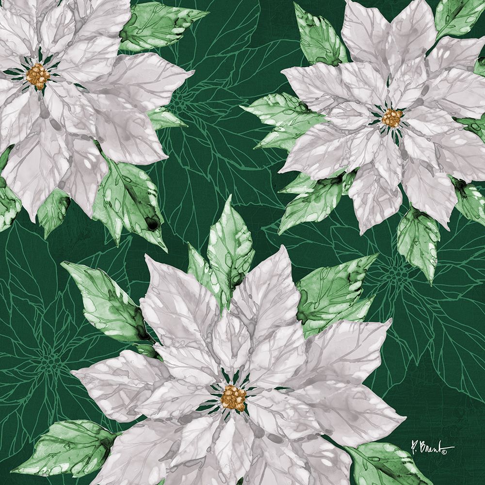 Fiona Poinsettias I - Green art print by Paul Brent for $57.95 CAD