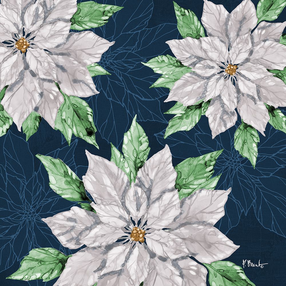 Fiona Poinsettias I - Navy art print by Paul Brent for $57.95 CAD