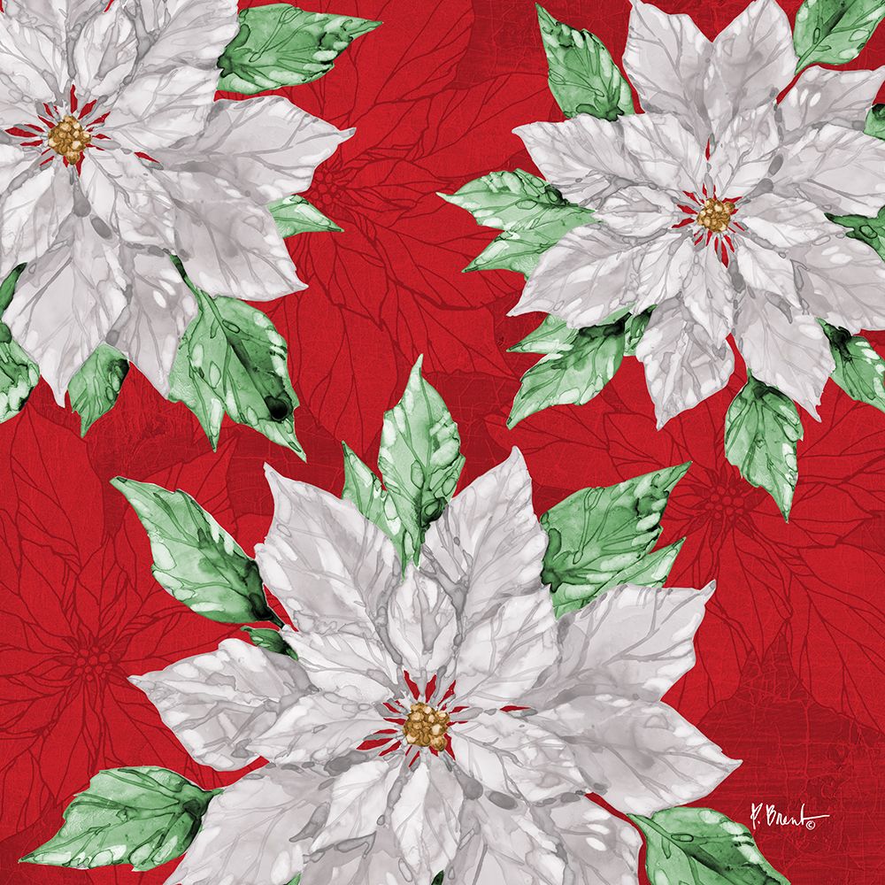 Fiona Poinsettias I - Red art print by Paul Brent for $57.95 CAD