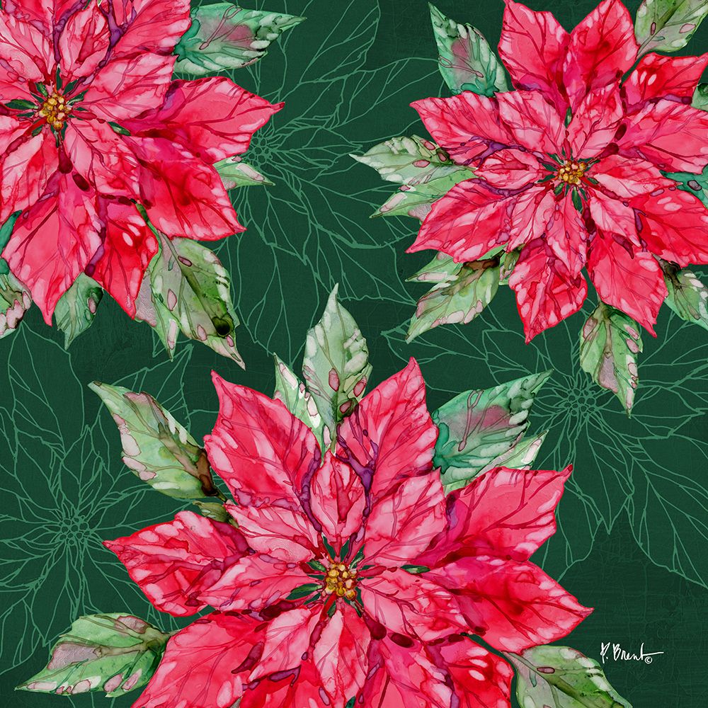 Fiona Poinsettias II - Green art print by Paul Brent for $57.95 CAD