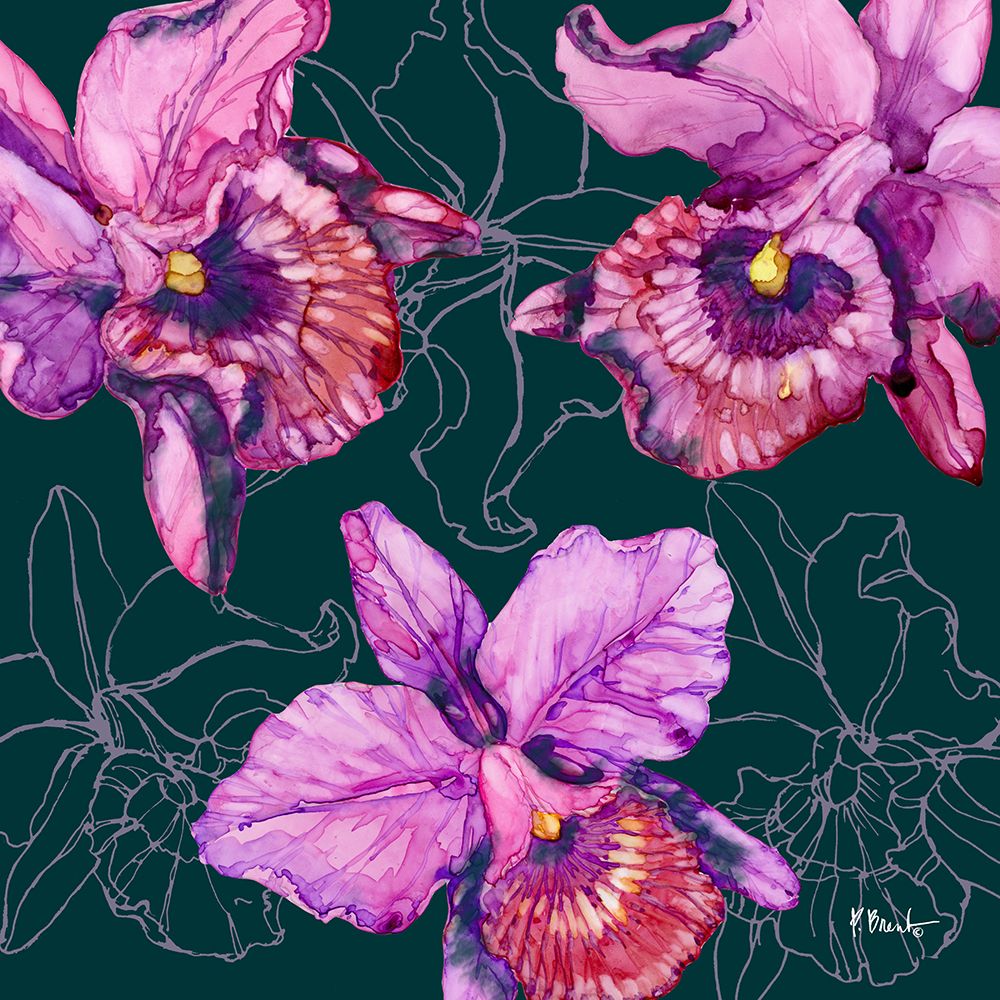 Hilo Orchids art print by Paul Brent for $57.95 CAD