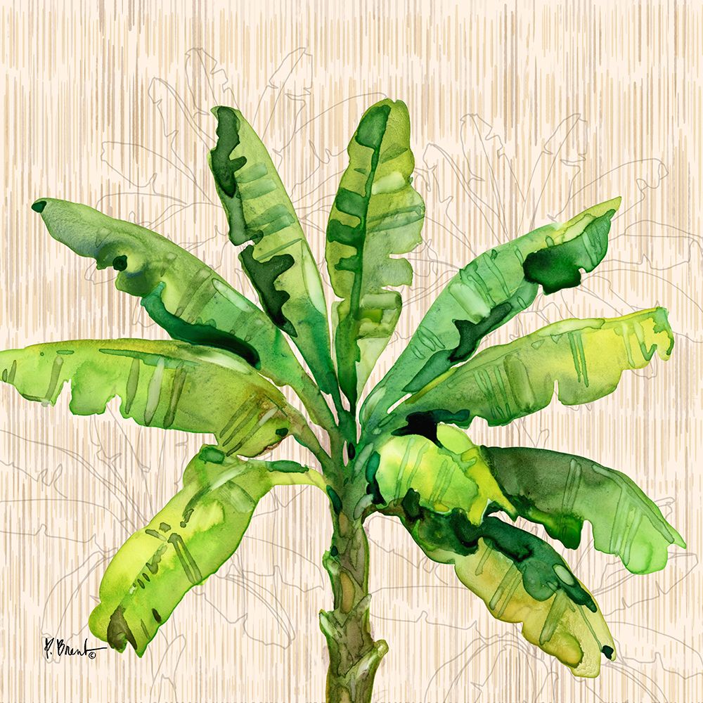 Hilo Palms II art print by Paul Brent for $57.95 CAD