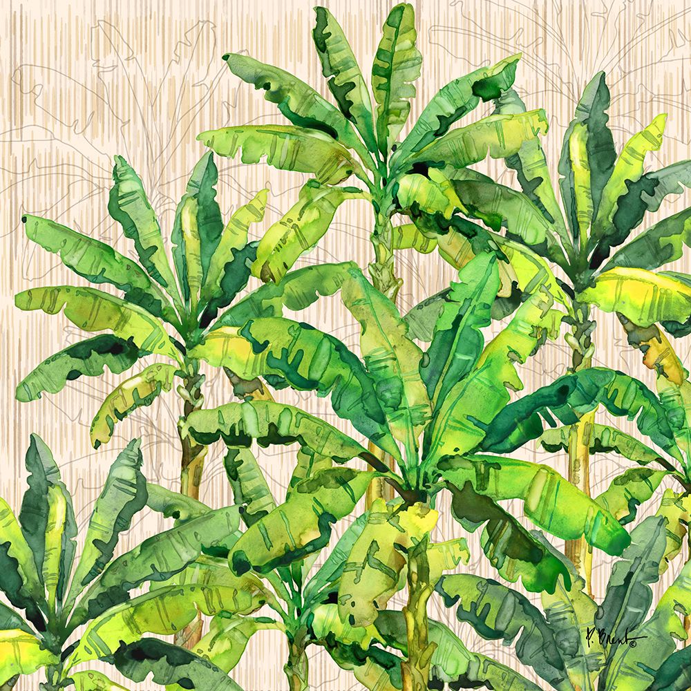 Hilo Palms VI art print by Paul Brent for $57.95 CAD