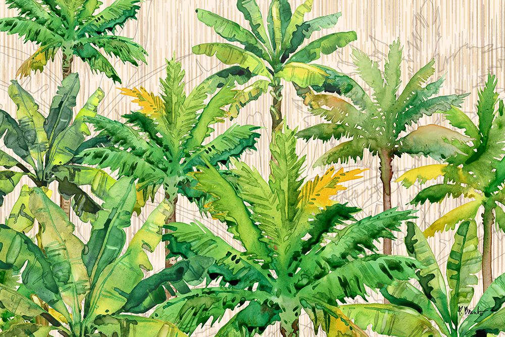Hilo Palms Horizontal art print by Paul Brent for $57.95 CAD