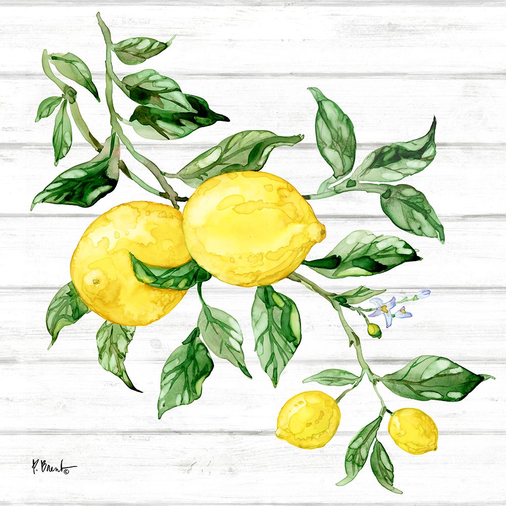 Sicilian Lemons I - Wood art print by Paul Brent for $57.95 CAD