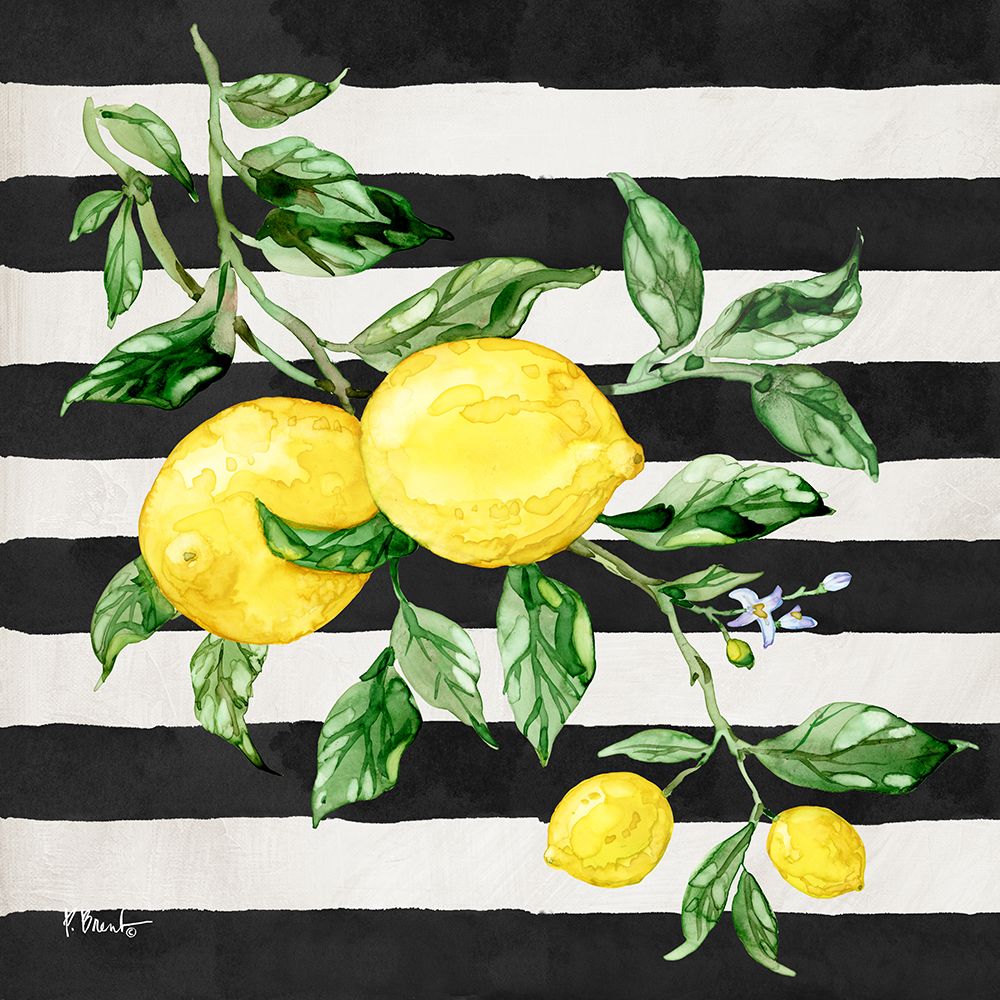Sicilian Lemons I - Stripes art print by Paul Brent for $57.95 CAD