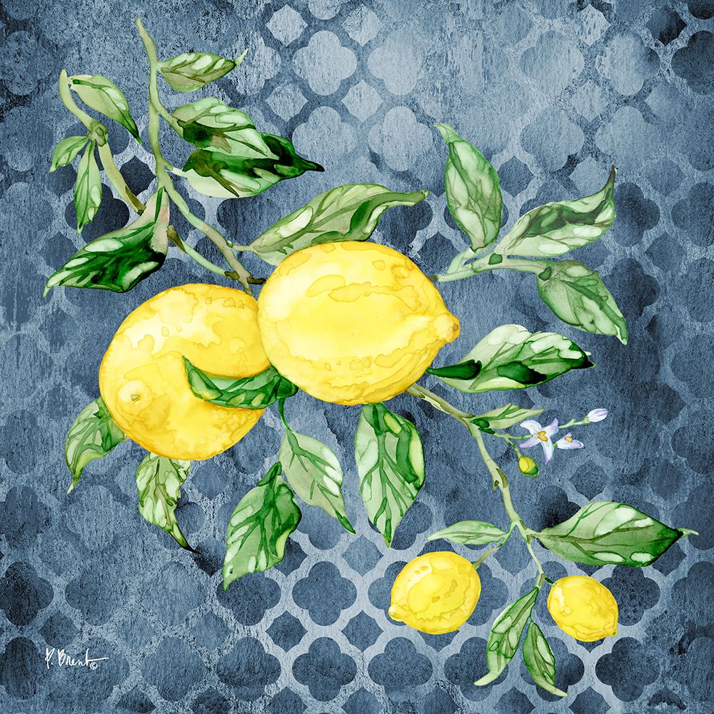 Sicilian Lemons I - Indigo art print by Paul Brent for $57.95 CAD