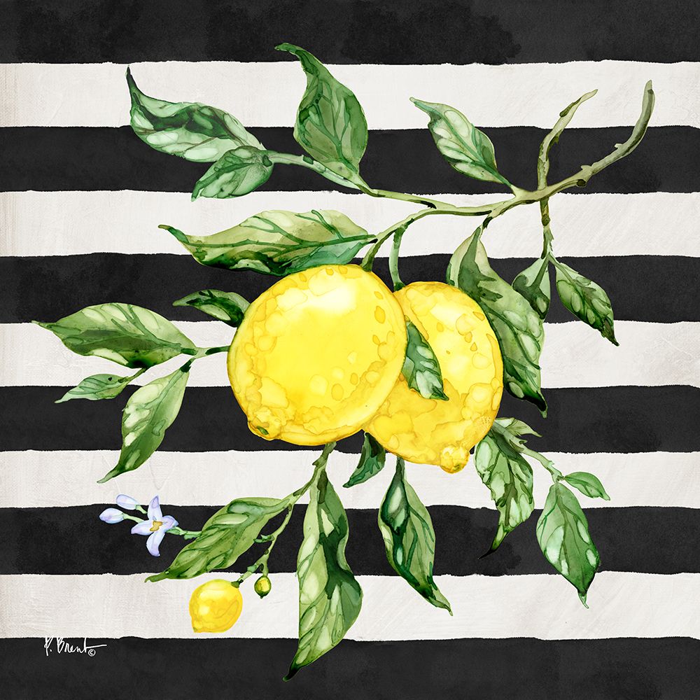 Sicilian Lemons II - Stripes art print by Paul Brent for $57.95 CAD