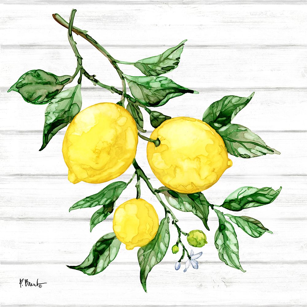 Sicilian Lemons III - Wood art print by Paul Brent for $57.95 CAD