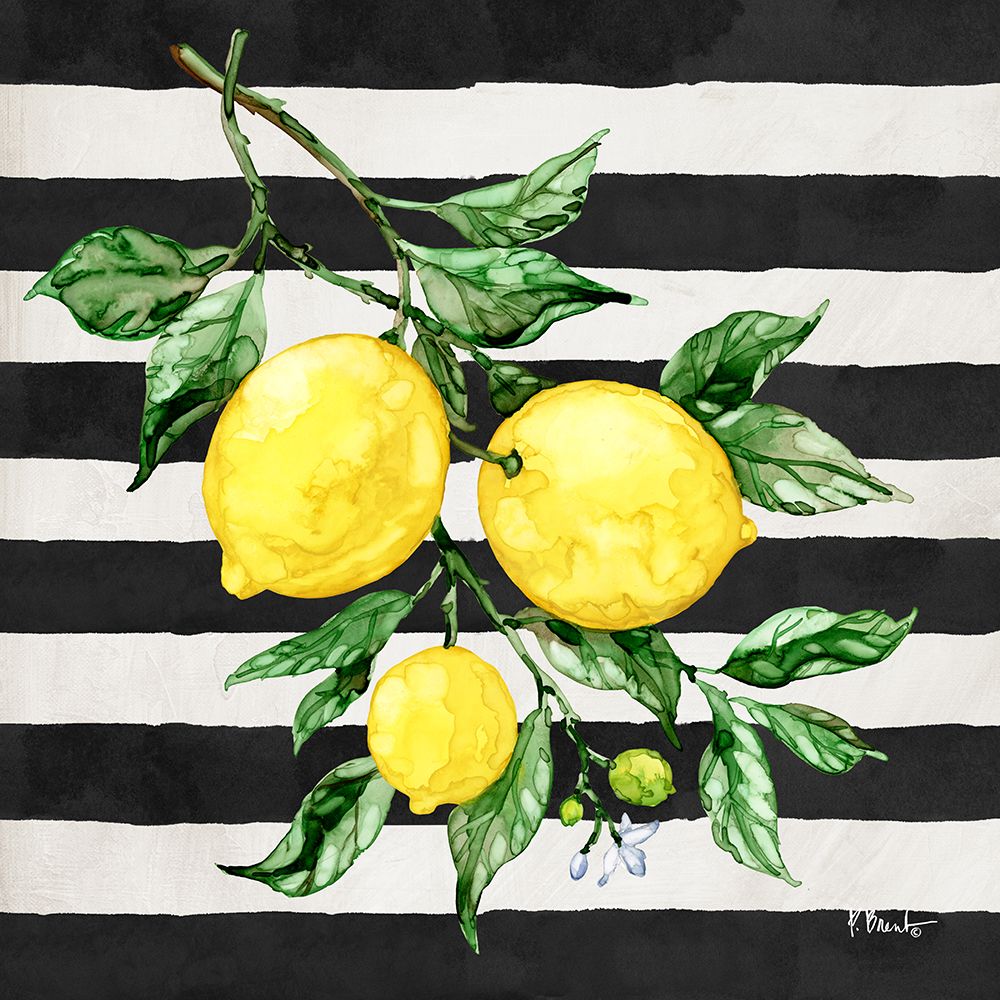 Sicilian Lemons III - Stripes art print by Paul Brent for $57.95 CAD