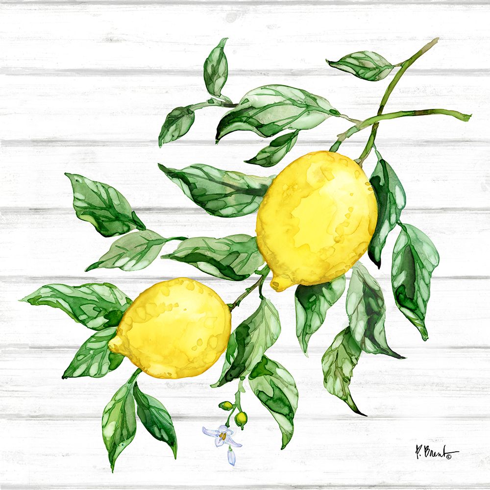 Sicilian Lemons IV - Wood art print by Paul Brent for $57.95 CAD