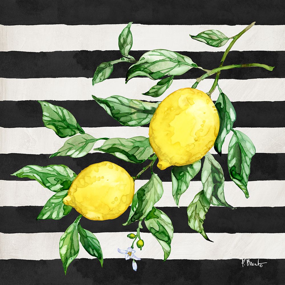 Sicilian Lemons IV - Stripes art print by Paul Brent for $57.95 CAD