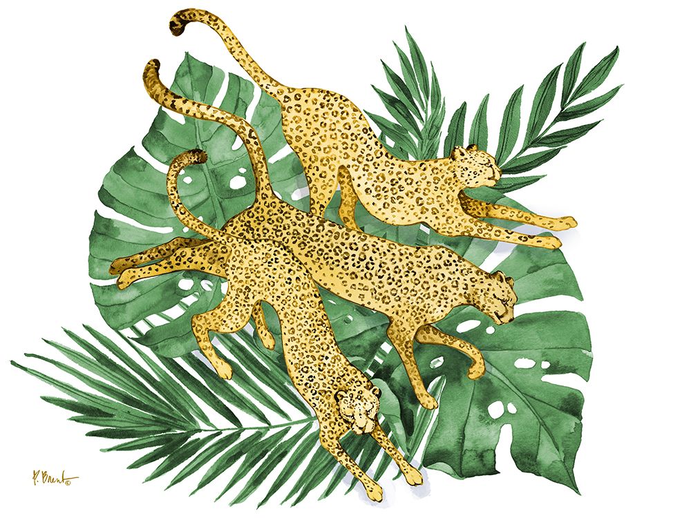 Wildcat Palms Horizontal art print by Paul Brent for $57.95 CAD