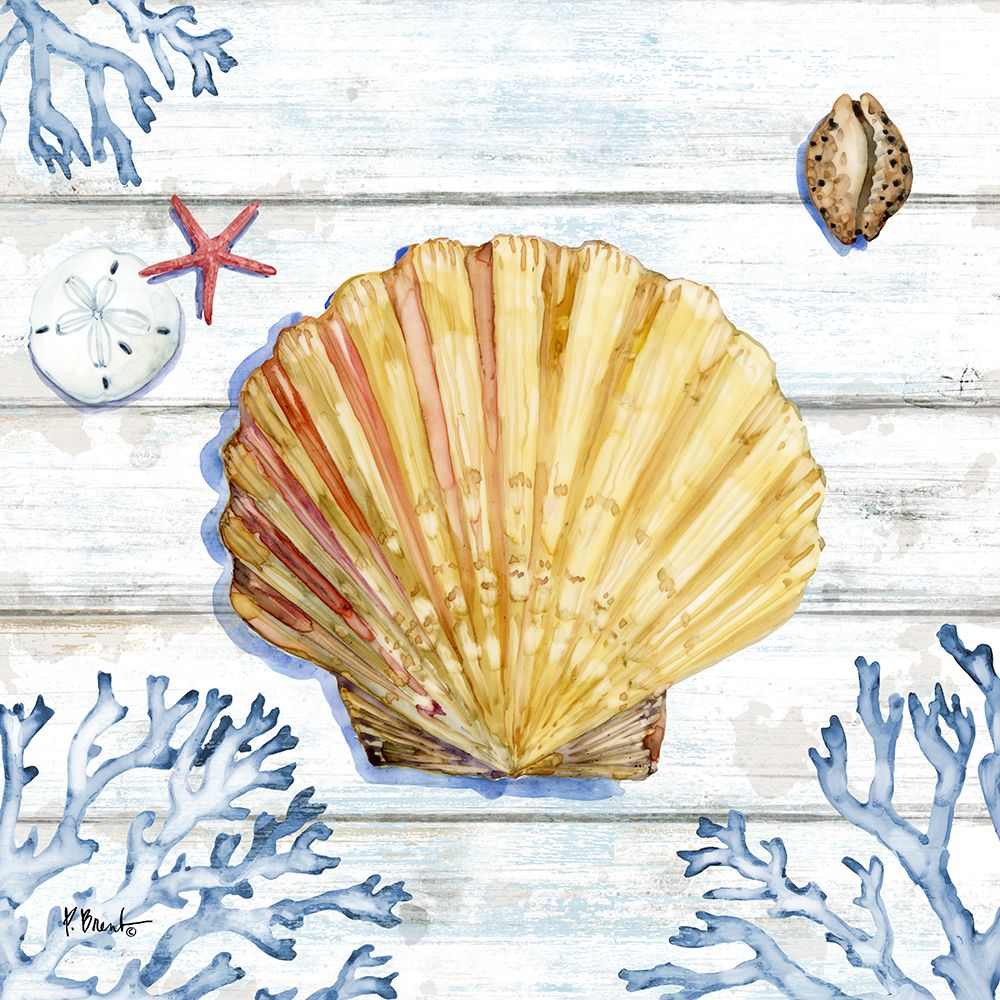 Bahia Shells Wood I art print by Paul Brent for $57.95 CAD