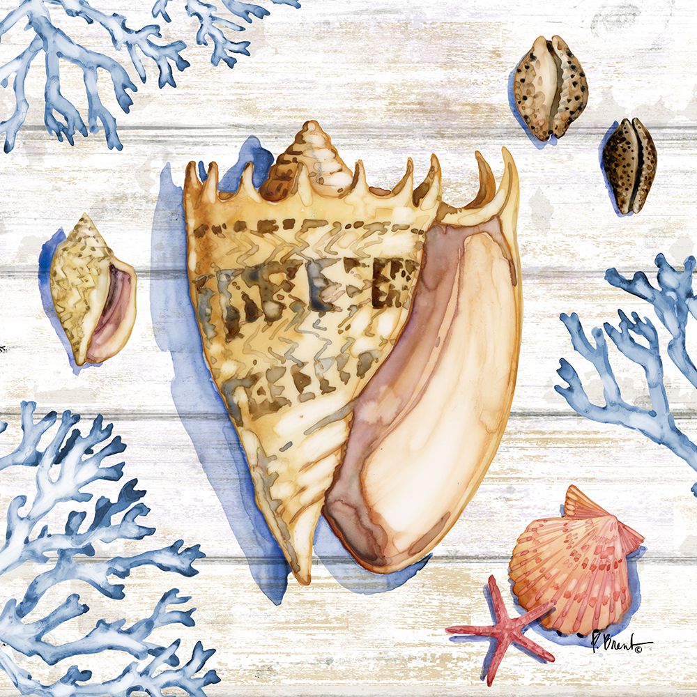 Bahia Shells Wood II art print by Paul Brent for $57.95 CAD