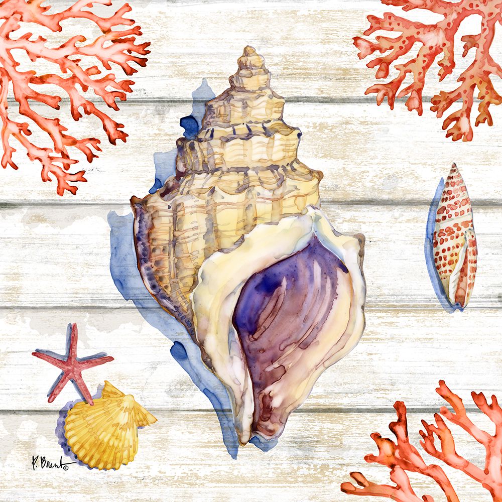 Bahia Shells Wood III art print by Paul Brent for $57.95 CAD