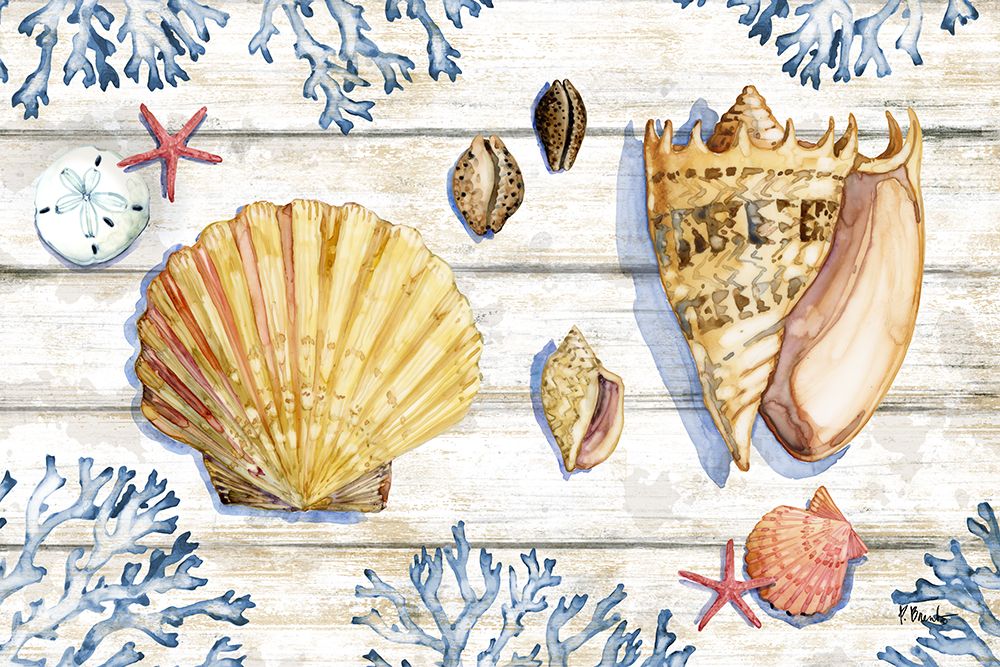 Bahia Shells Wood Horizontal art print by Paul Brent for $57.95 CAD