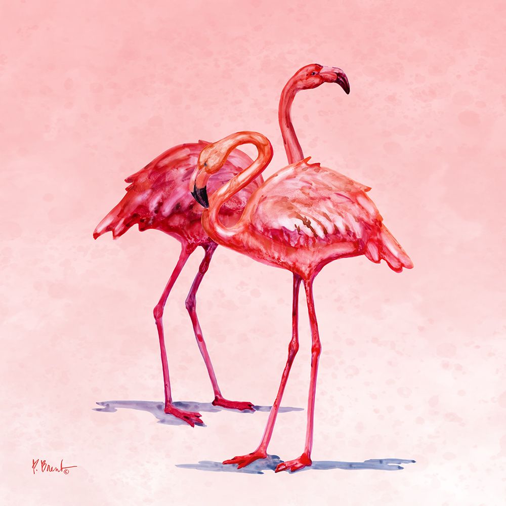 Hilo Flamingos I art print by Paul Brent for $57.95 CAD