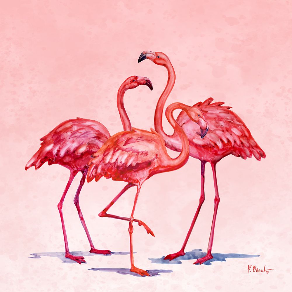 Hilo Flamingos IV art print by Paul Brent for $57.95 CAD