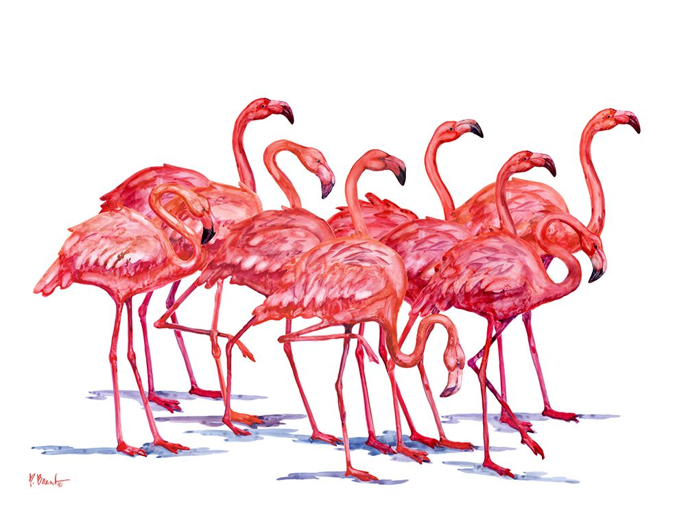 Hilo Flamingos Horizontal - White art print by Paul Brent for $57.95 CAD