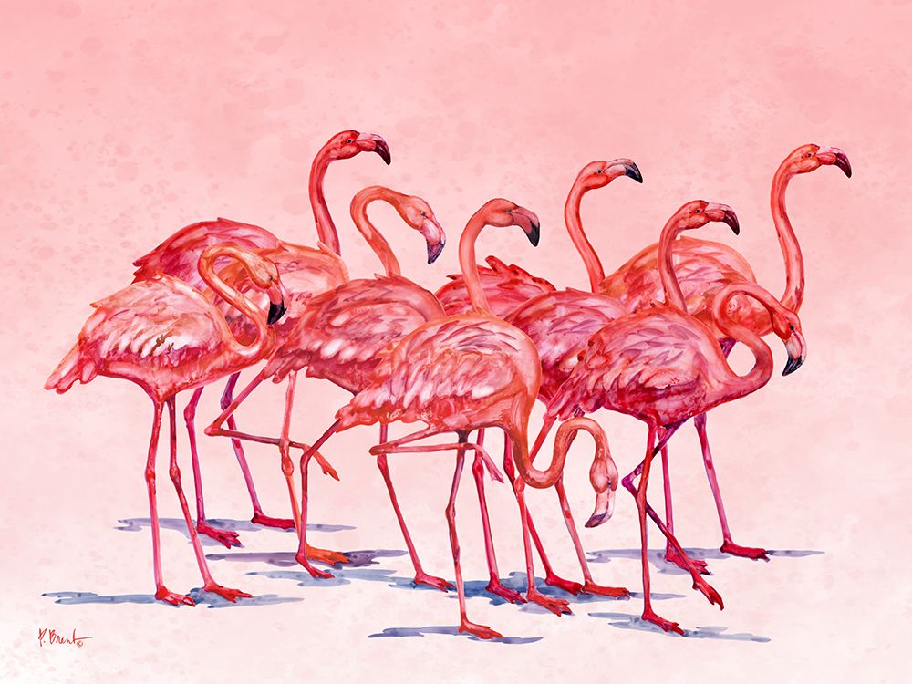 Hilo Flamingos Horizontal art print by Paul Brent for $57.95 CAD