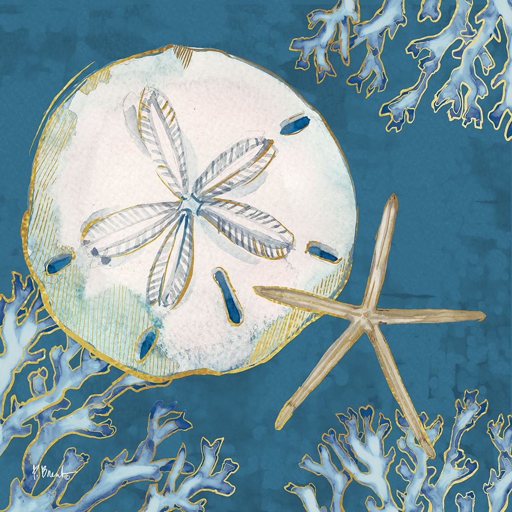 Playa Shells I - Indigo art print by Paul Brent for $57.95 CAD