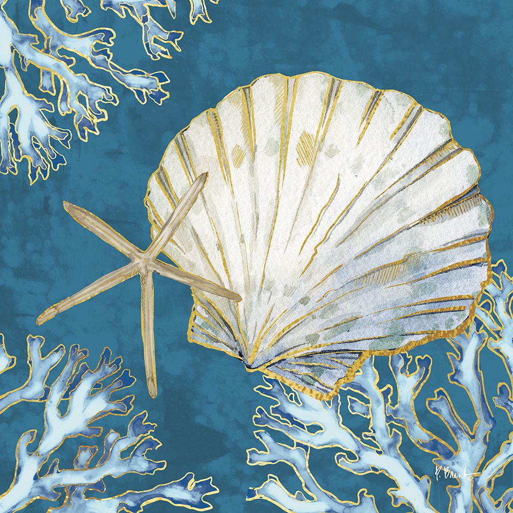 Playa Shells II - Indigo art print by Paul Brent for $57.95 CAD