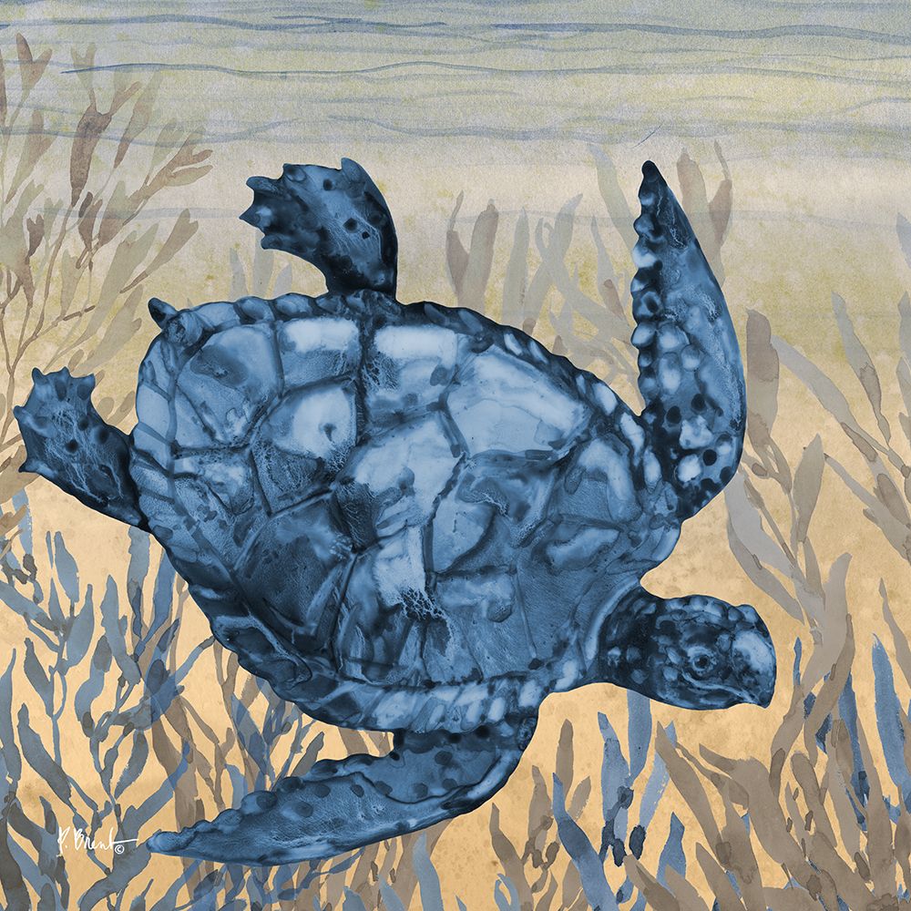 Tonga Sealife I - Sunset art print by Paul Brent for $57.95 CAD