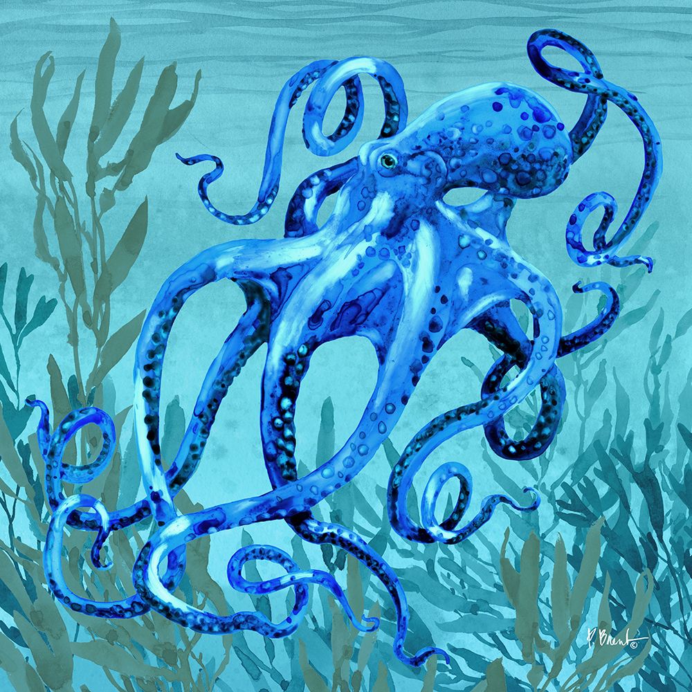 Tonga Sealife II art print by Paul Brent for $57.95 CAD