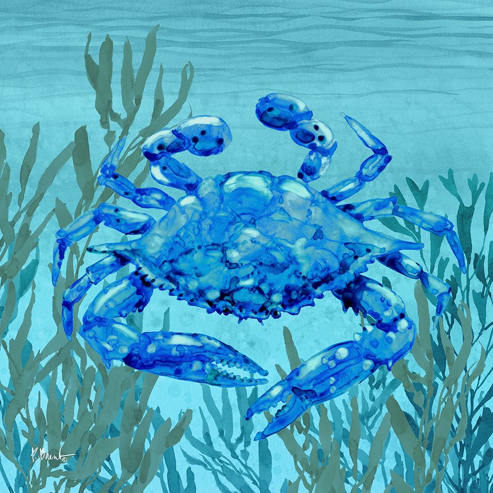 Tonga Sealife III art print by Paul Brent for $57.95 CAD