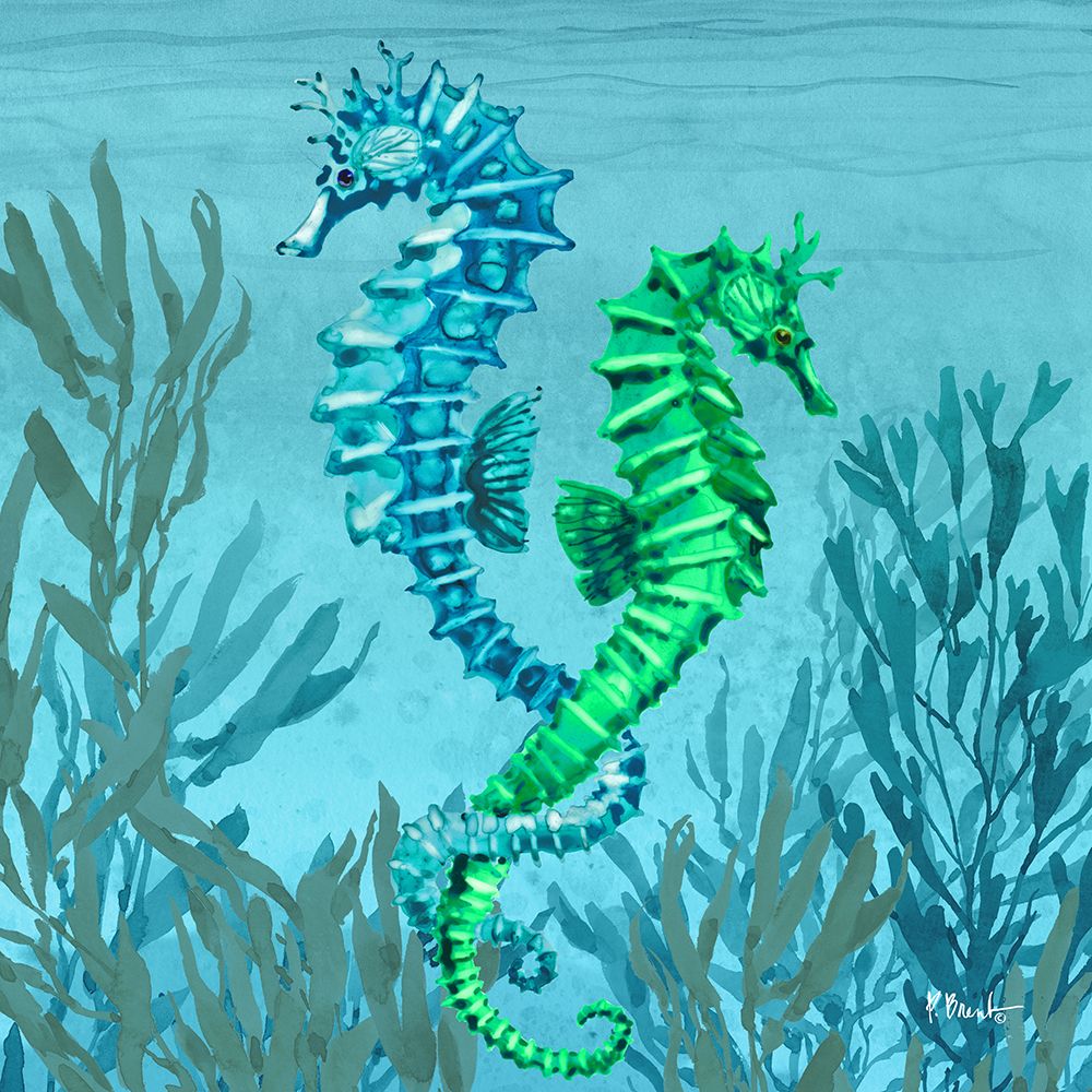 Tonga Sealife IV art print by Paul Brent for $57.95 CAD