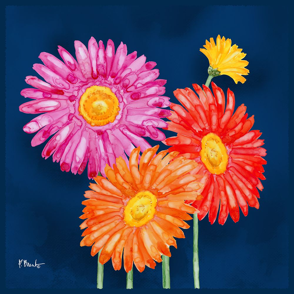Helena Daisies I art print by Paul Brent for $57.95 CAD