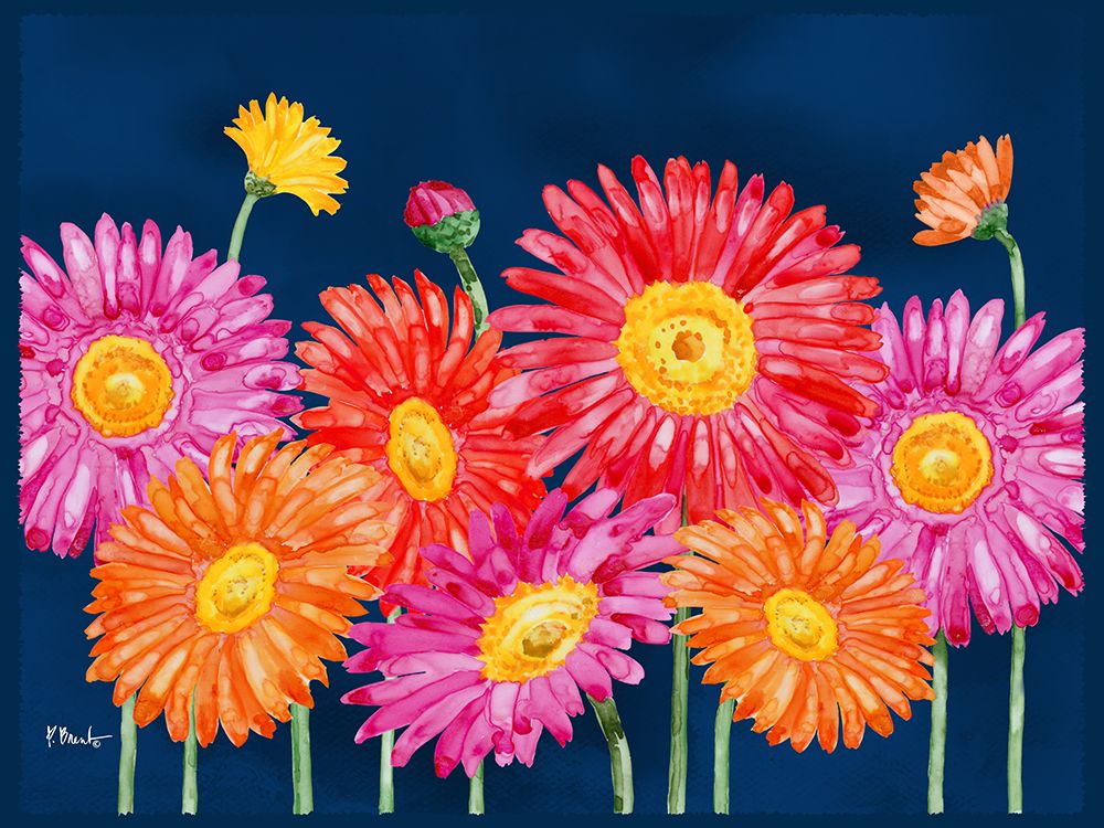 Helena Daisies Horizontal I art print by Paul Brent for $57.95 CAD