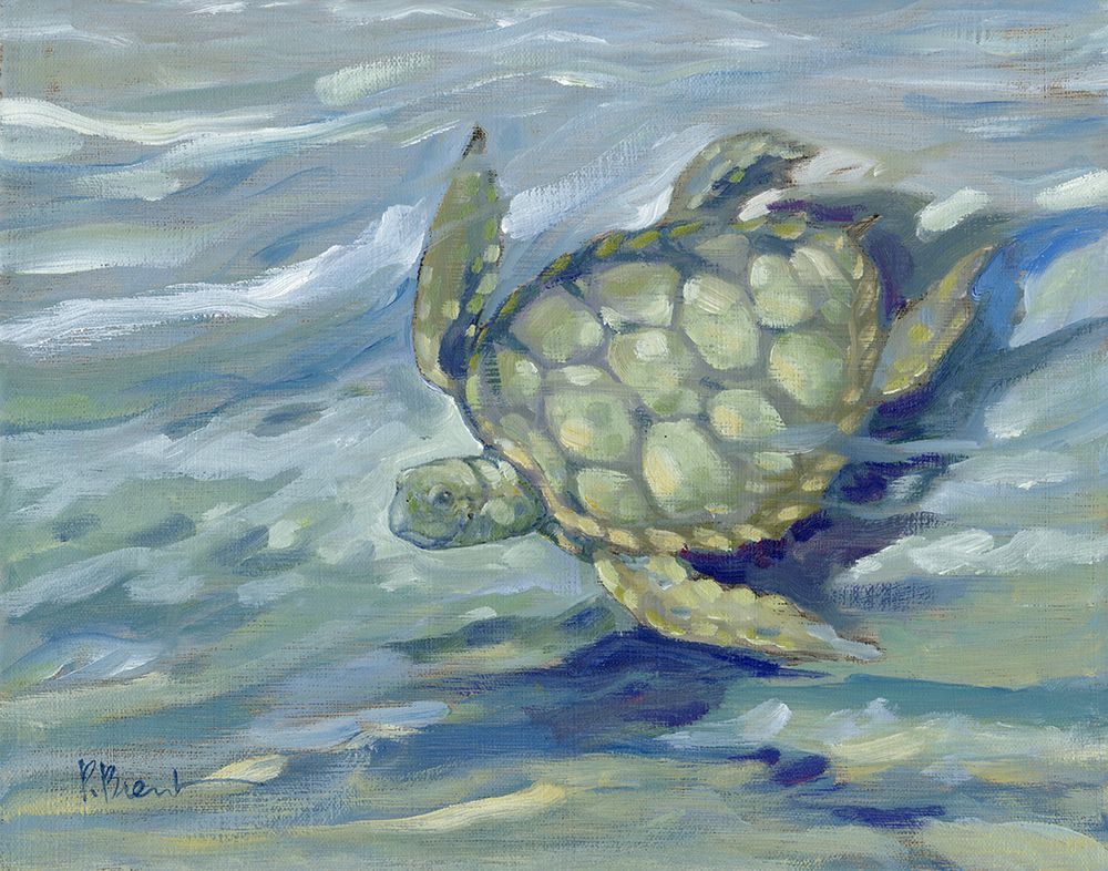 East Point Sea Turtle art print by Paul Brent for $57.95 CAD